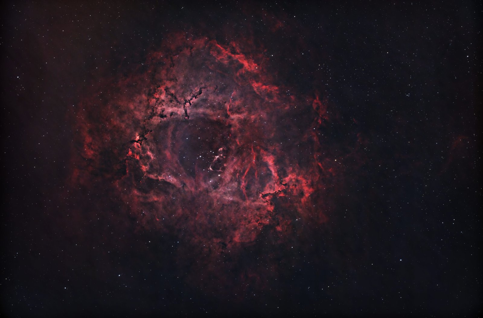 Rosette Nebula